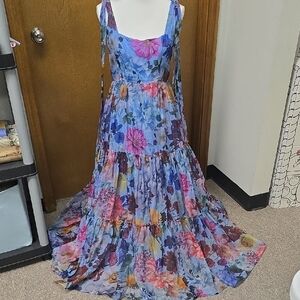 Francesca's Collections Multicolor Floral Maxi Dress